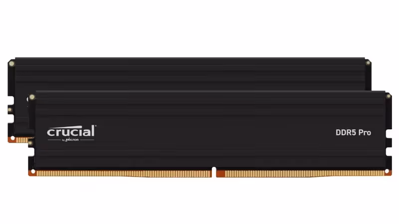 Crucial 48GB 5600MHz DDR5 Pro rinkinys CP2K24G56C46U5 (2x24)