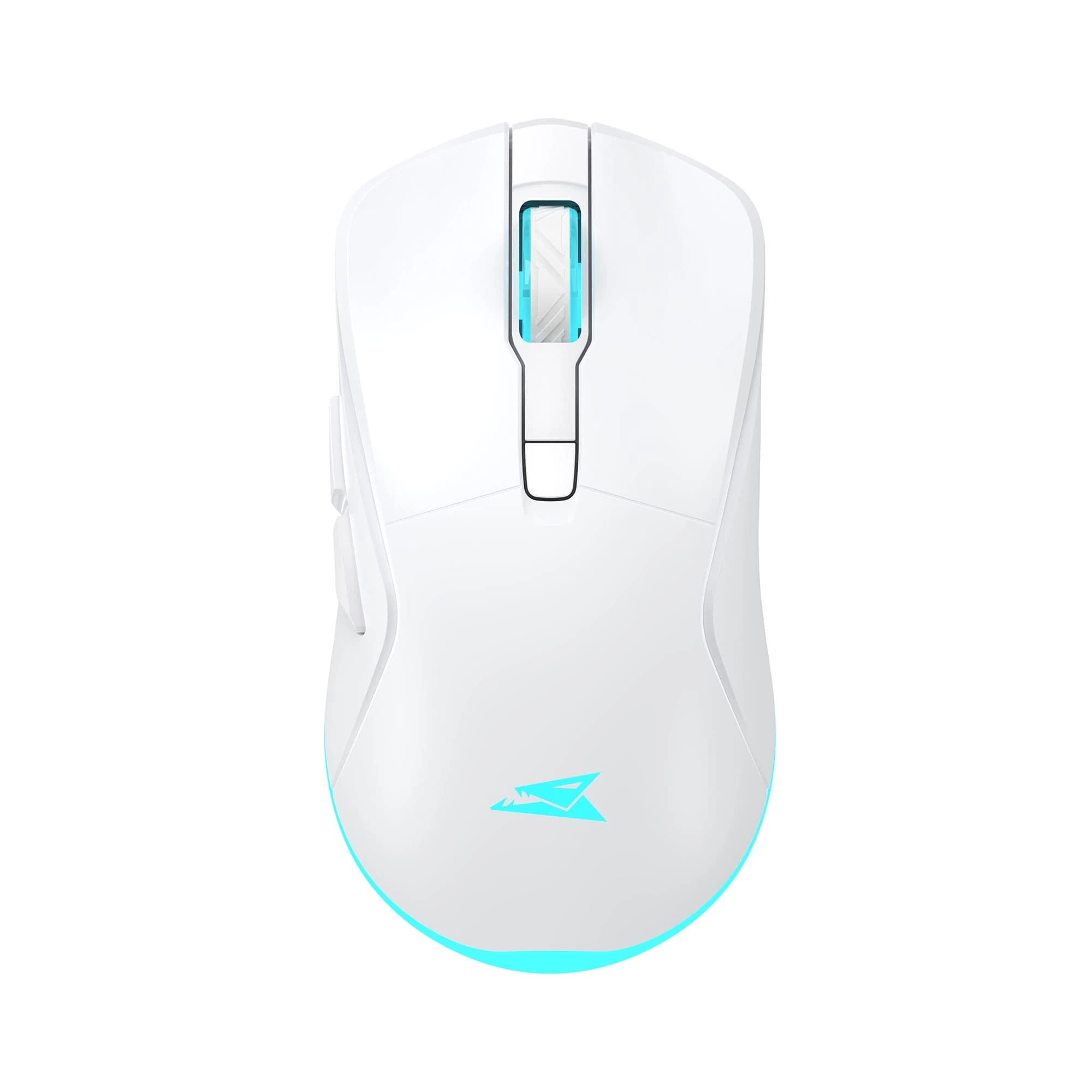 Baracuda BGM-122 Turtle (White)