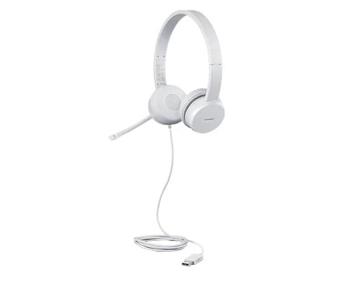 Lenovo 110 Stereo USB Headset (Cloud Grey)