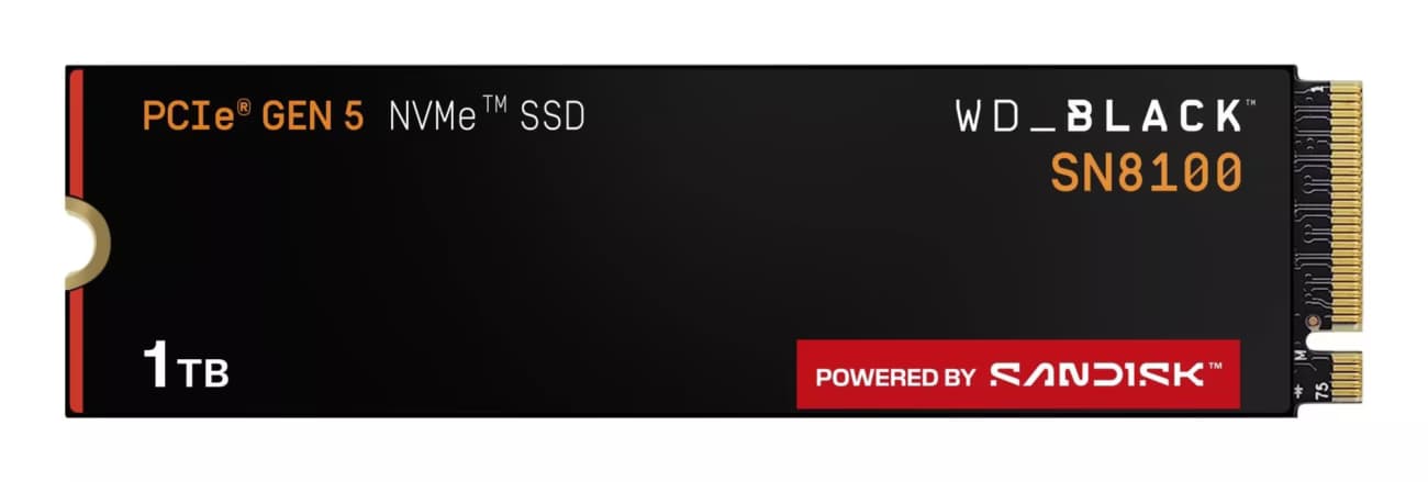 SanDisk 1TB Black SN8100